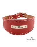 Collar para Galgo personalizado Oro Rojo