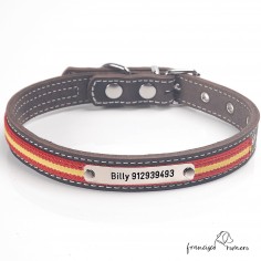 Collar de piel con bandera...