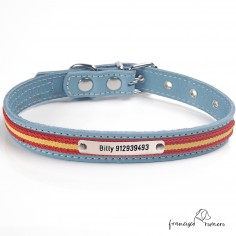 Collar de piel con bandera...