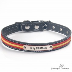 Collar de piel con bandera...