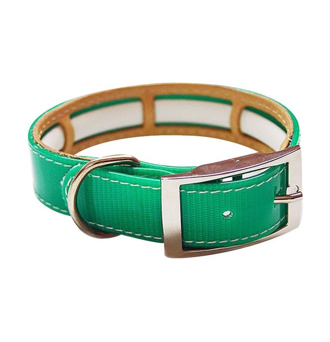 collar antiparasitario chihuahua