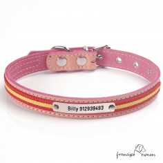 Collar de piel con bandera...