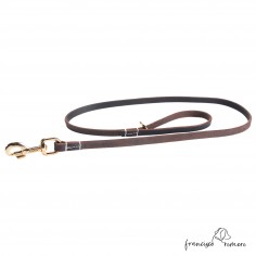 Correa Paseo y Exposición...