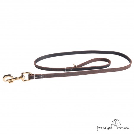 Correa Paseo y Exposición Colección 10x4 Marrón para perros
