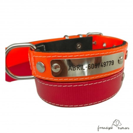 Collar para perros de rehala 5 cm 2 tiras 2 hebillas con chapa identificativa