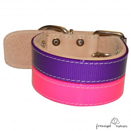 Collar para perros de rehala 5 cm dos tiras 1 hebilla