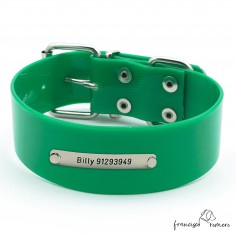 Collar Biothane Gold ancho cinta 3,8 cm Personalizado verde