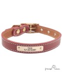Collar doble piel vaquetilla latón personalizado Burdeos para perro