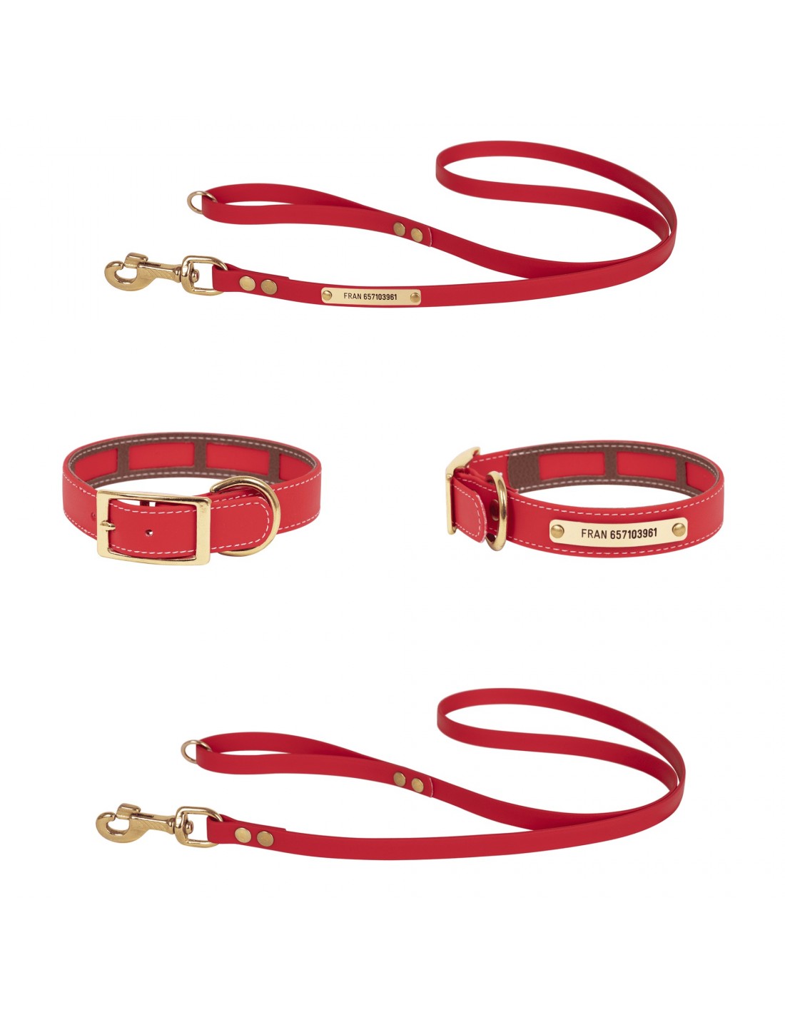 Colección Biothane Beta Funda Antiparasitaria Hebilla Latón para perro