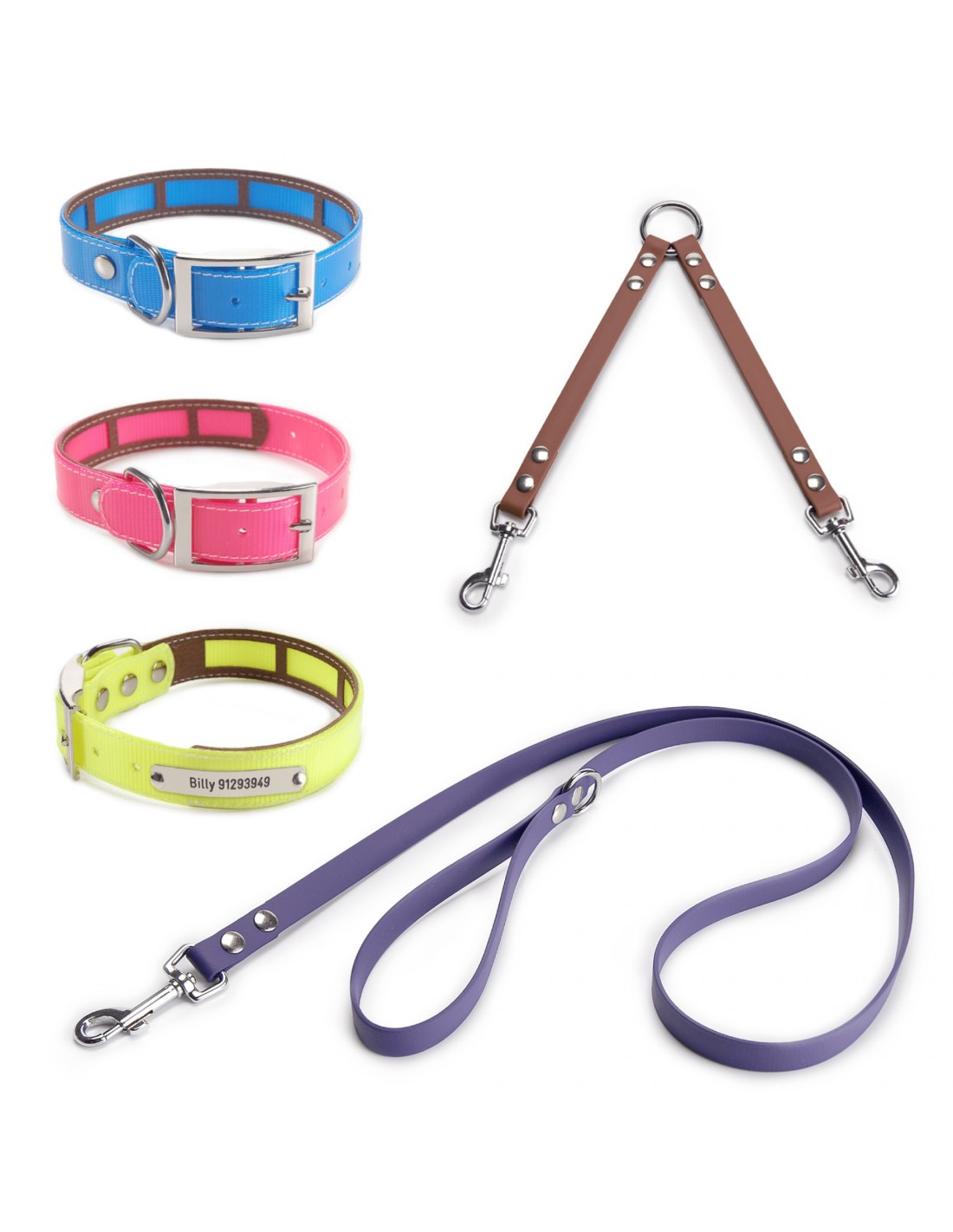 Colección Biothane Funda Antiparasitaria Hebilla Níquel para perros