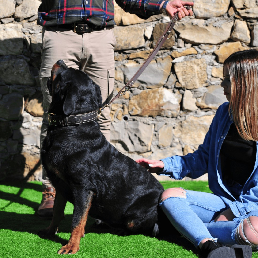 Colección Premium Alta Resistencia Personalizada para perros