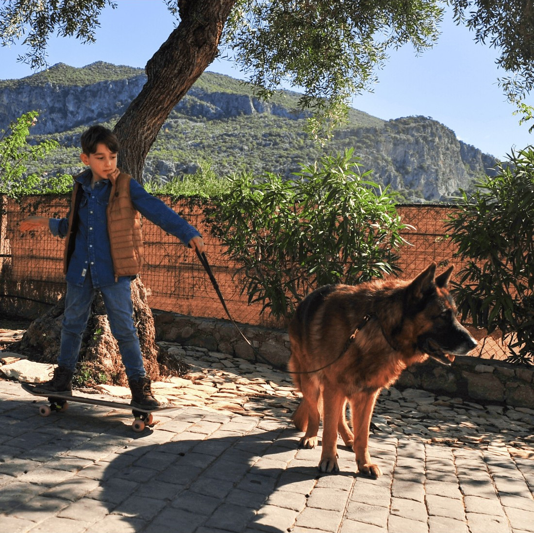 Colección Piel Engrasada con Quita vueltas Personalizada para perros