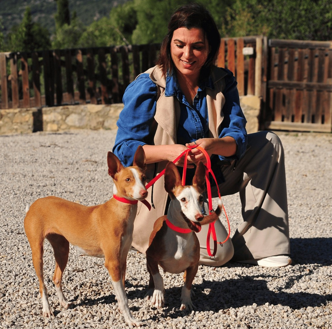 Collares de Poliuretano para perros