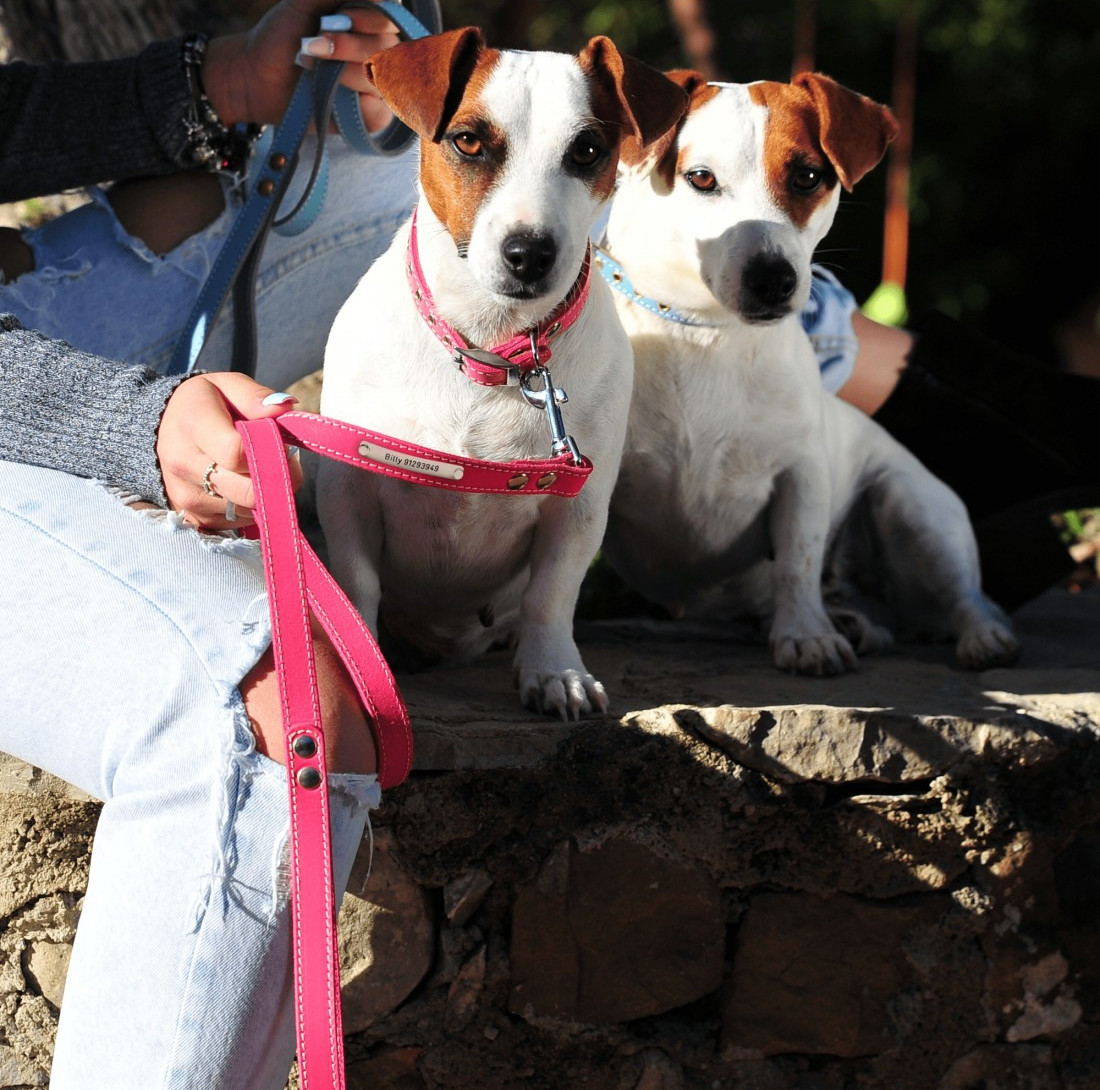 Correas Personalizadas