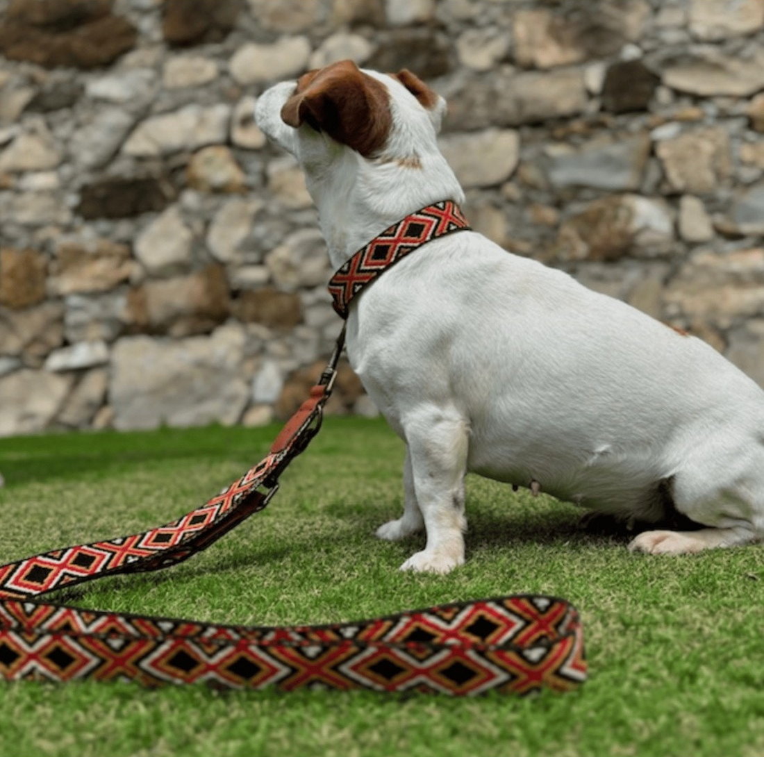 Correas Étnicas para perros