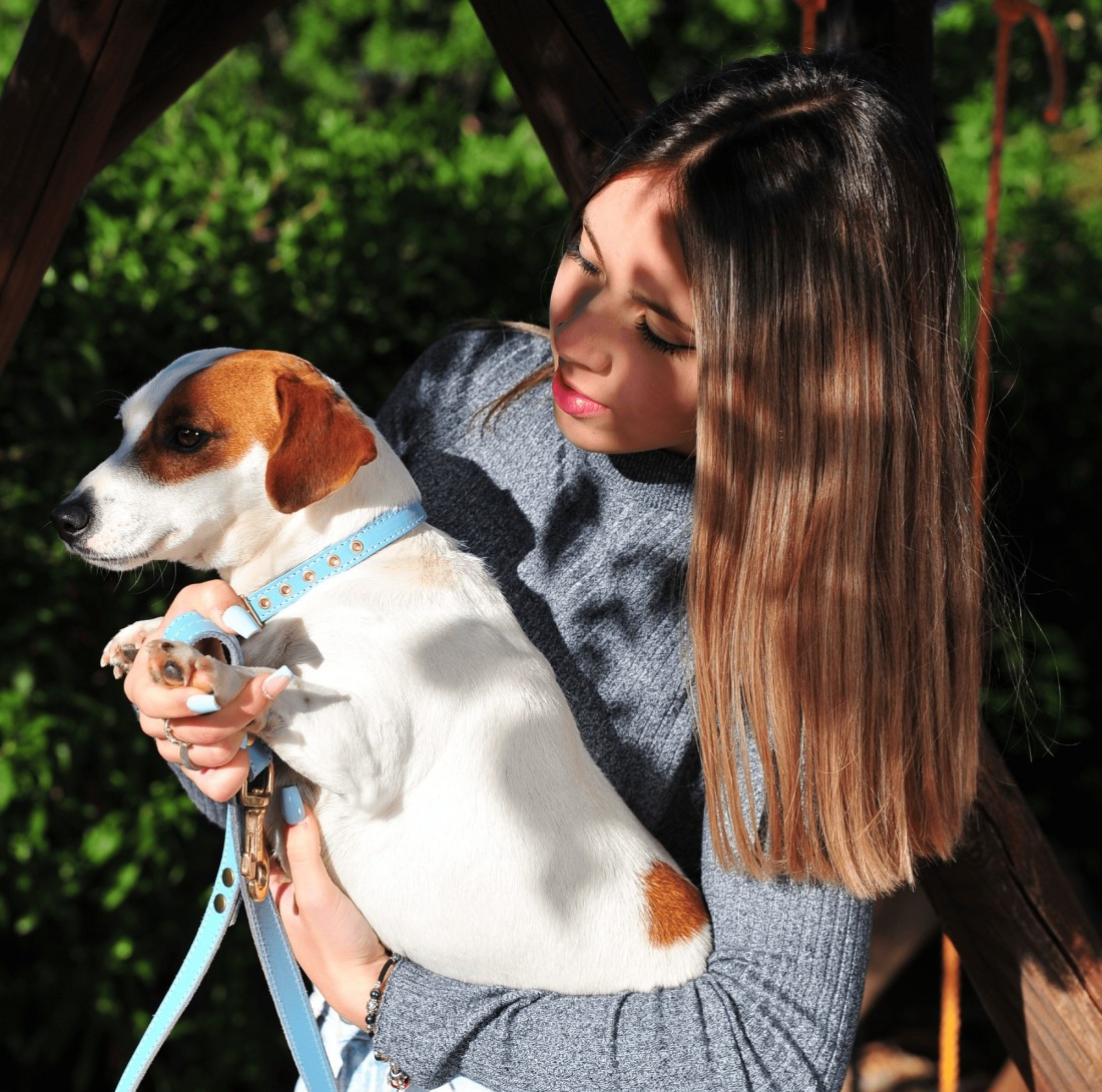 Collares de Piel - Francisco Romero, collares perros