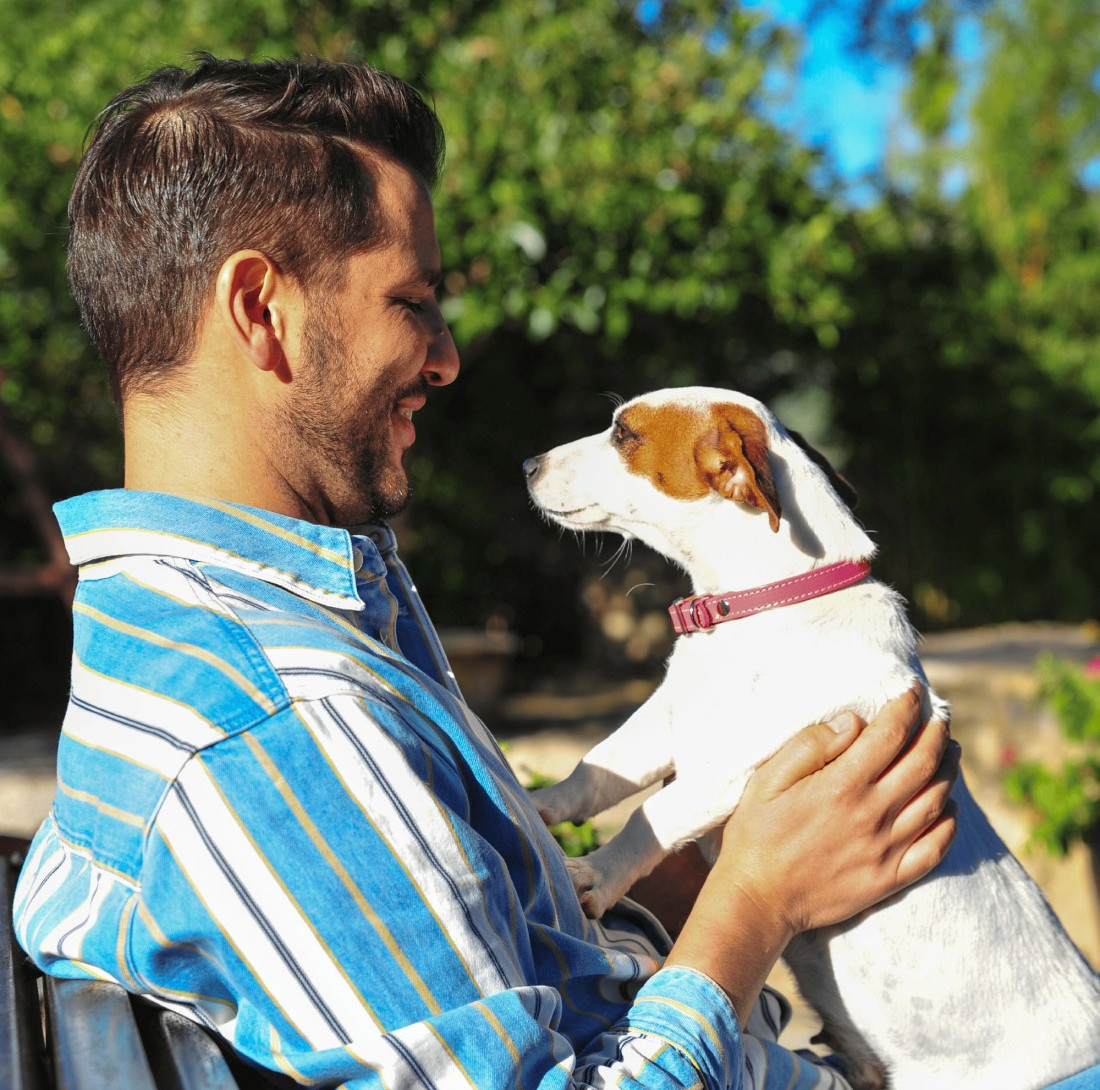 Collar Funda Antiparasitaria - Francisco Romero, collares perros