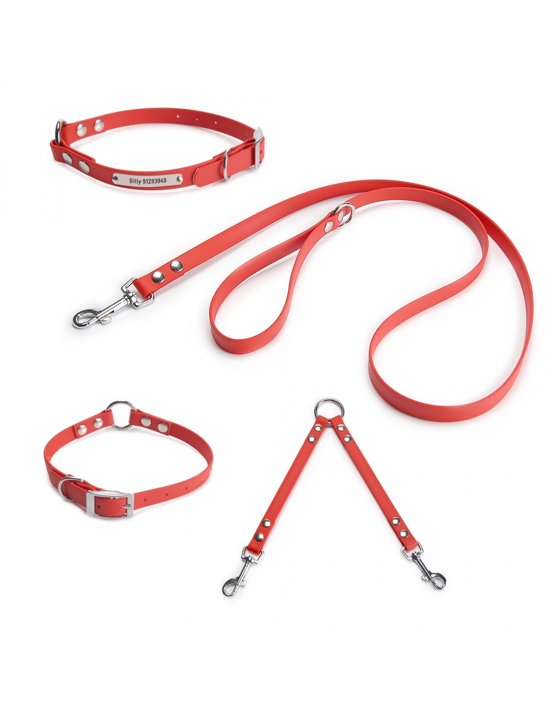 Colección Biothane Beta Anilla Central para perros