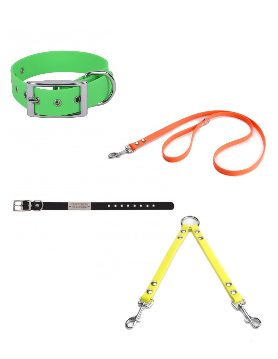 Colección Biothane Beta 2,5 cm. para perros