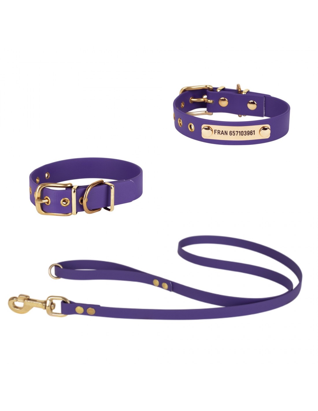 Colección Biothane Beta 2,5 cm Hebilla Latón para perros