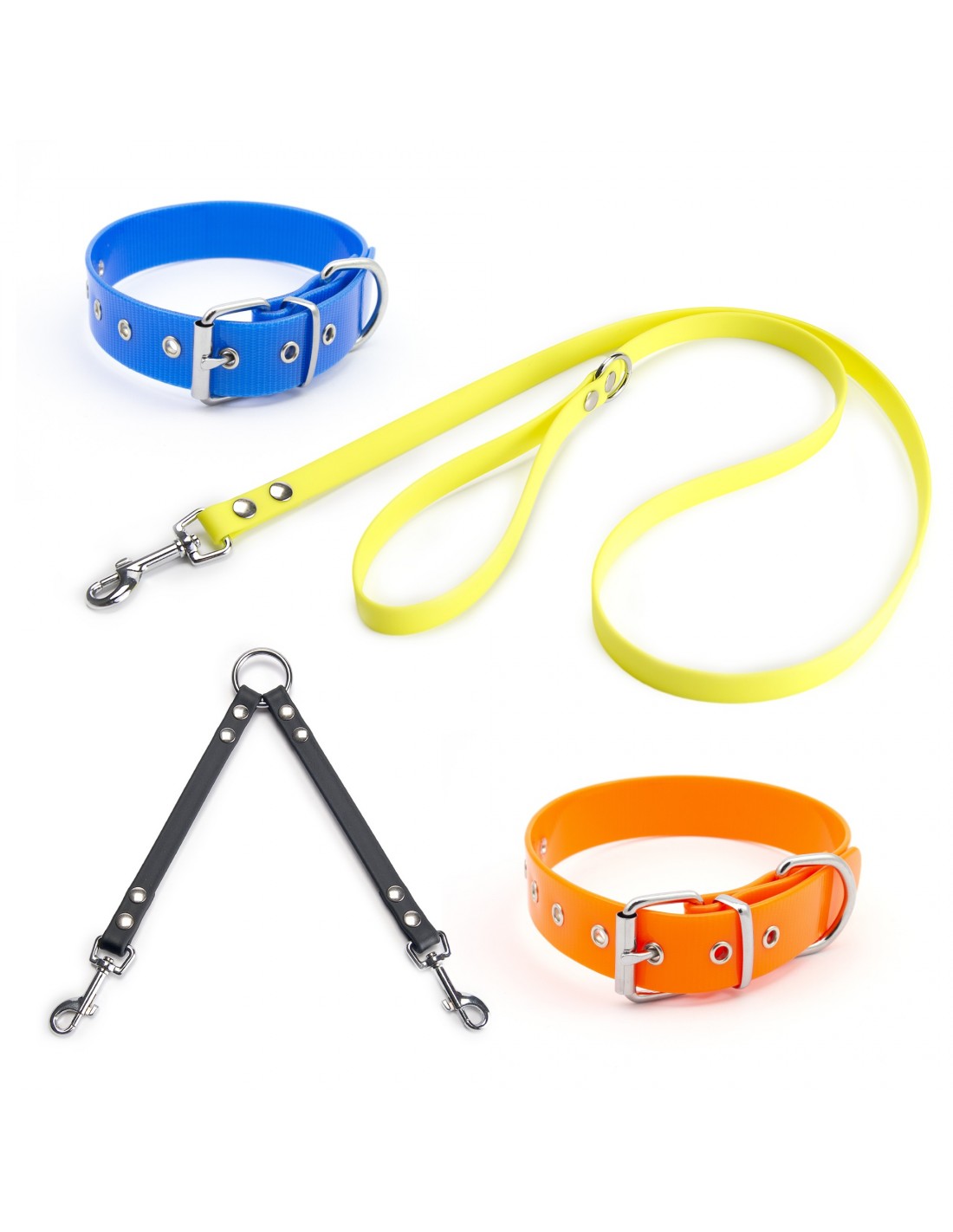 Colección Biothane Gold 2,5 cm Hebilla Rulo para perros