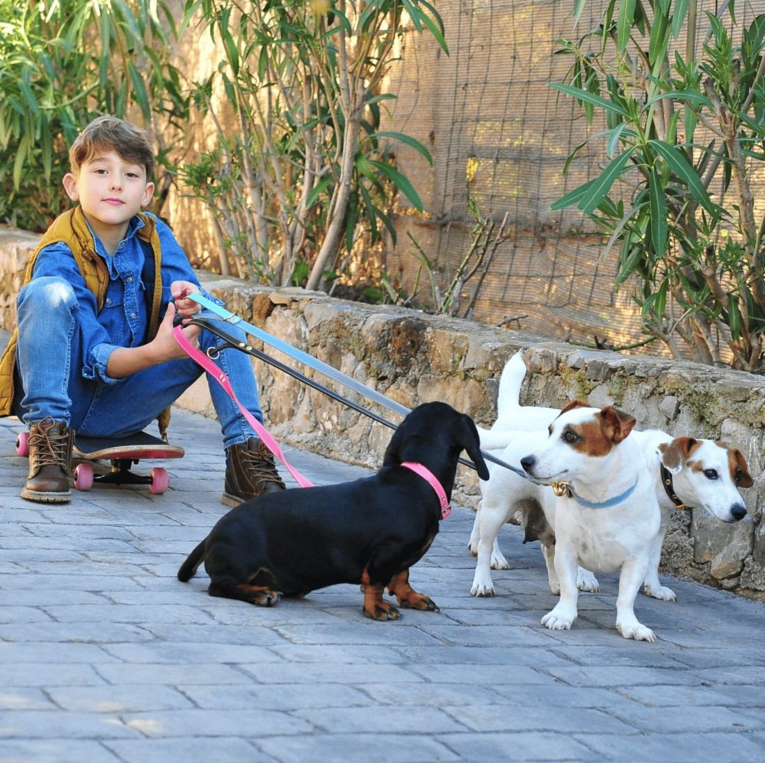 Colección Doble Piel Vaquetilla Herrajes de Latón para perro