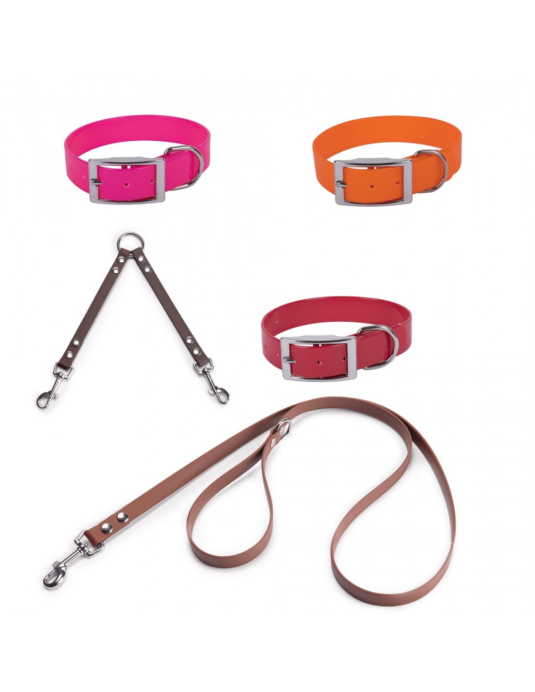 Colección Biothane Gold 2,5 cm Hebilla Alemana para perros