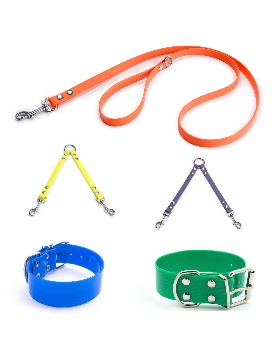 Colección Biothane Gold 3,8 cm. para perros