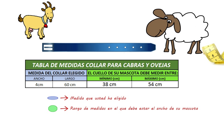 medida collar para ovejas y cabra